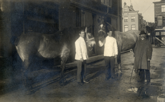 601197 Afbeelding van twee voor de slacht bestemde paarden voor de Slagerij Van Beek (Jacobijnenstraat 1) te Utrecht ...